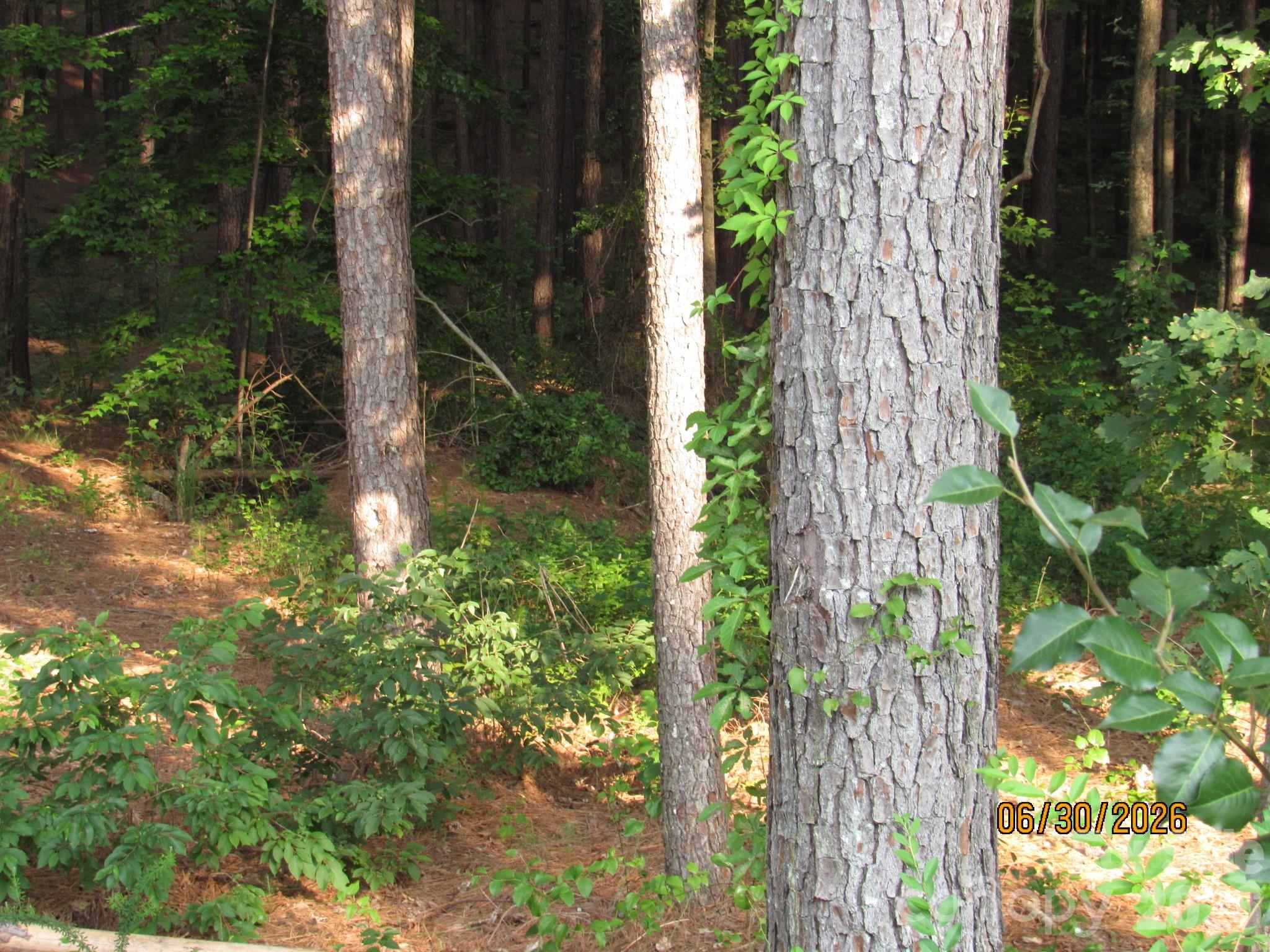 0 Church Road, Unit 12 Taylorsville, NC 28681 - Photo 4 of 7