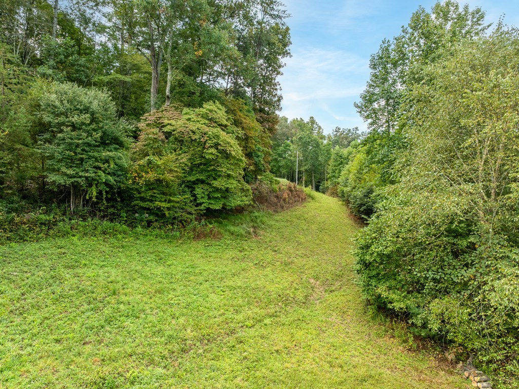 365 Lower Star Creek Road Morganton, GA 30560 - Photo 24 of 44