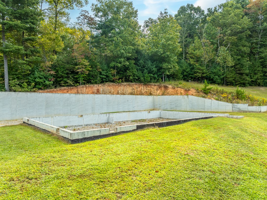 365 Lower Star Creek Road Morganton, GA 30560 - Photo 8 of 44