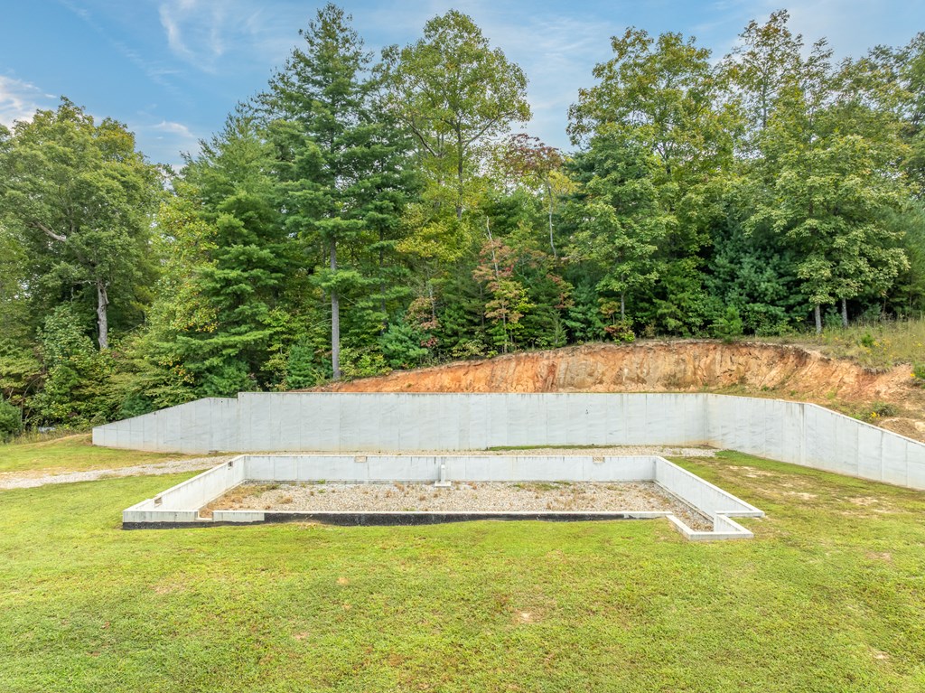 365 Lower Star Creek Road Morganton, GA 30560 - Photo 9 of 44
