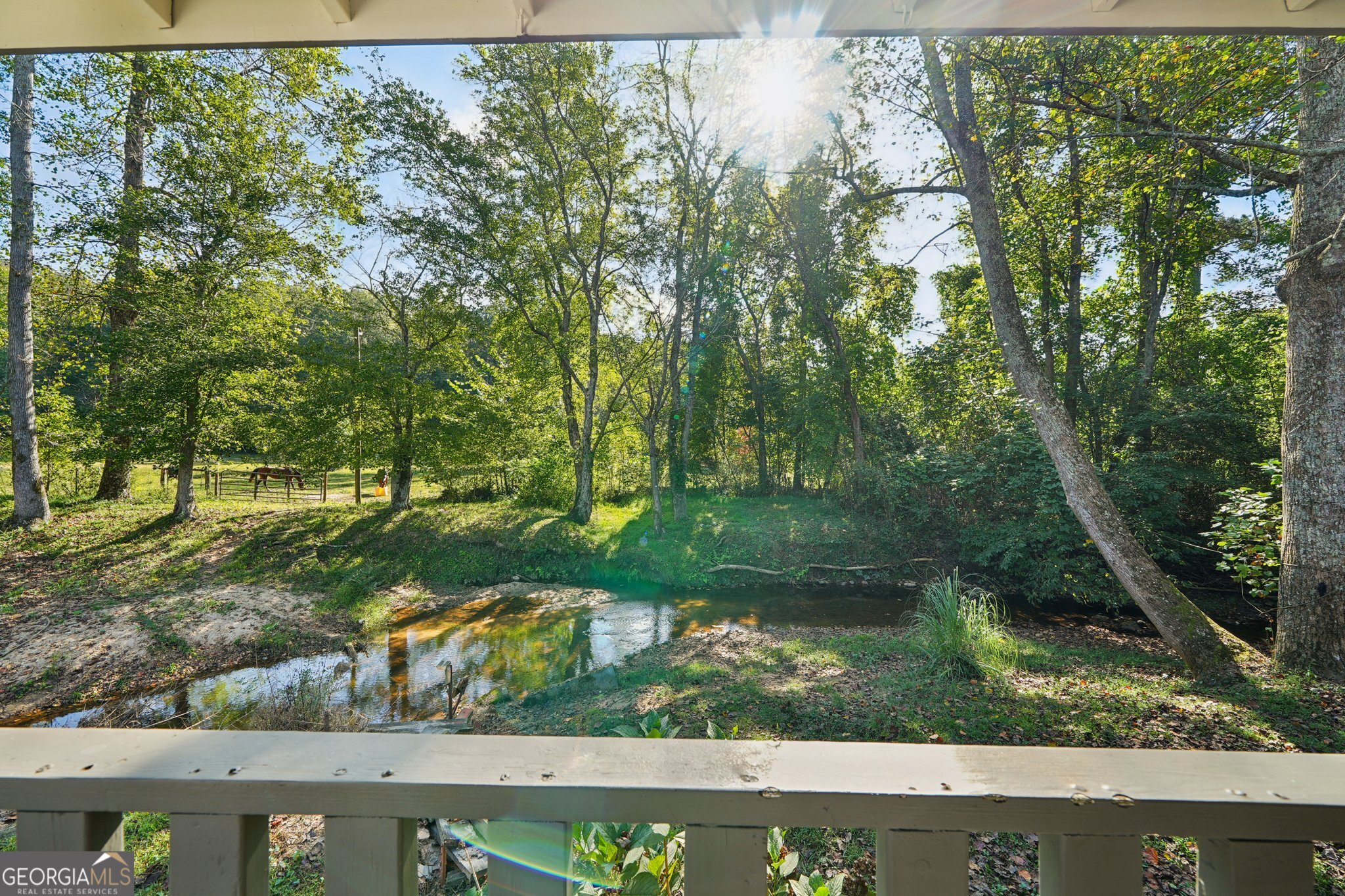 786 Moon Road Waco, GA 30182 - Photo 22 of 53 front view of a yard