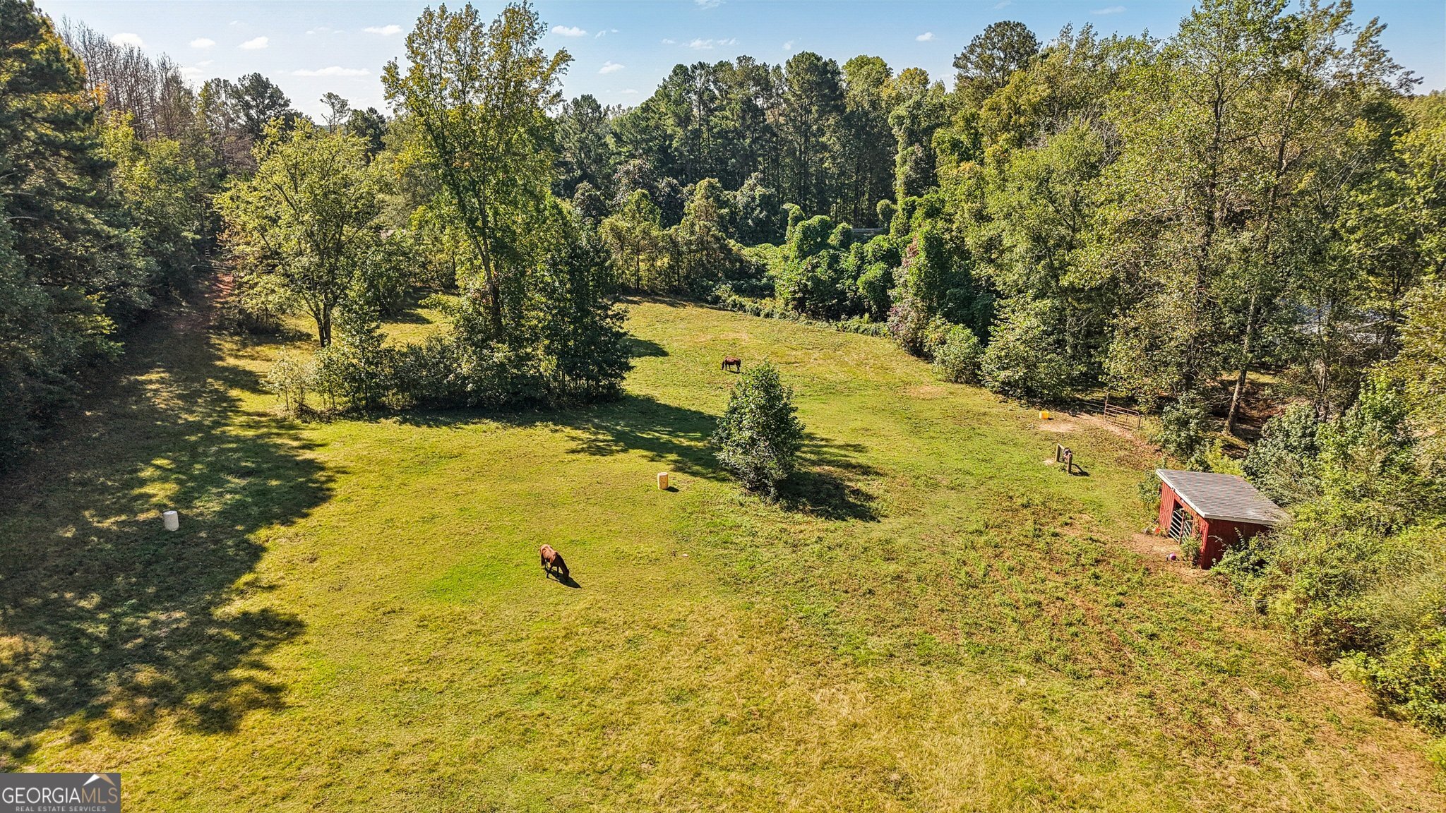 786 Moon Road Waco, GA 30182 - Photo 38 of 53 a view of yard with swimming pool