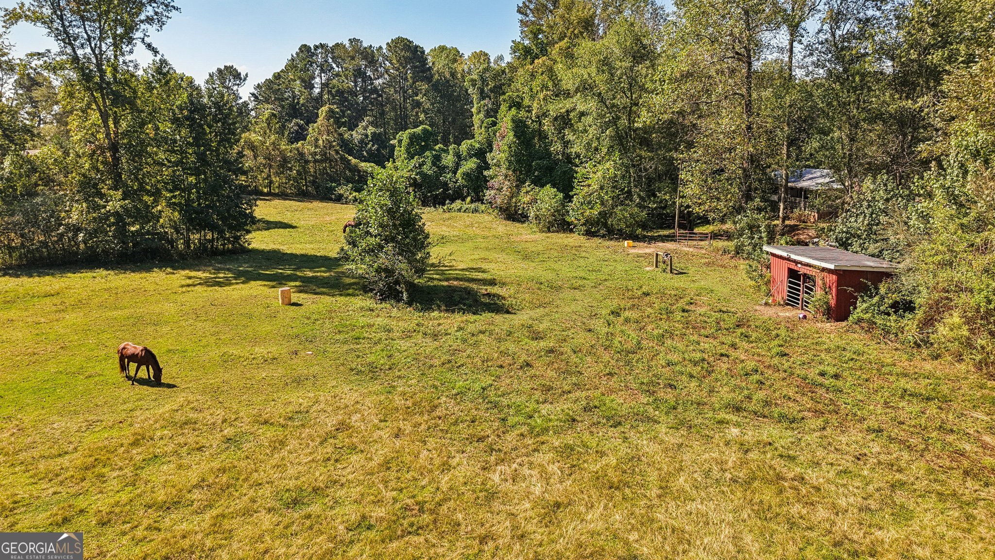 786 Moon Road Waco, GA 30182 - Photo 39 of 53 a view of a tree with an outdoor space