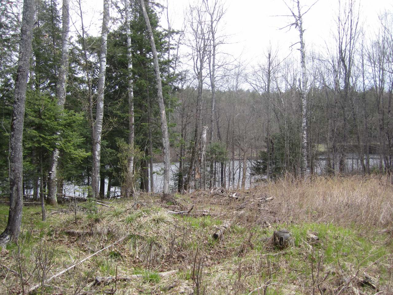 6284 Bambiland Road Mercer, WI 54547 - Photo 11 of 31 Gallery Image 11