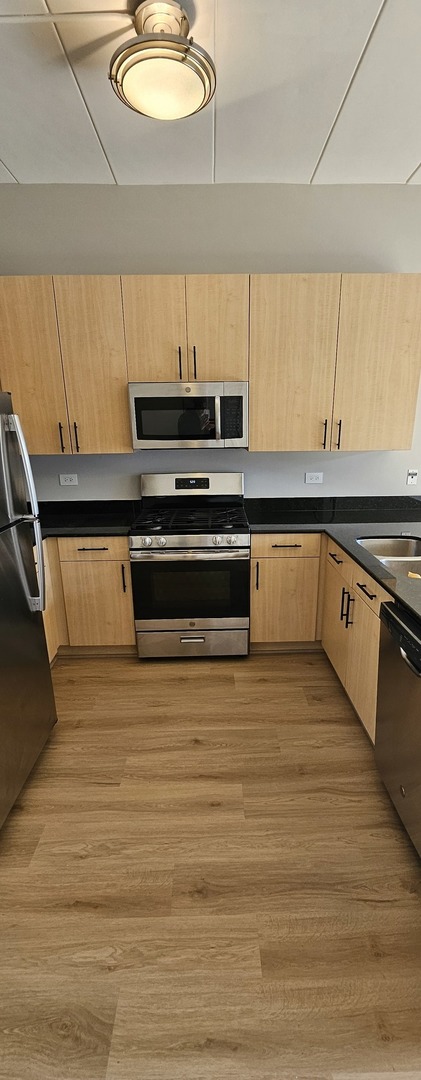 1155 West Madison Street, Unit 406 Chicago, IL 60607 - Photo 8 of 20