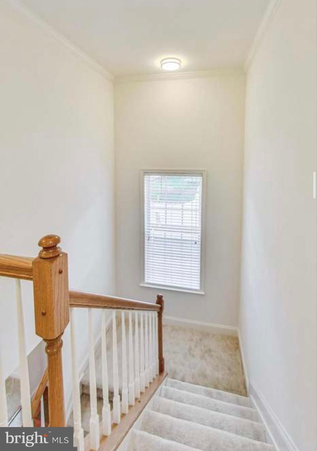 7533 Tottenham Drive White Plains, MD 20695 - Photo 22 of 51 a view of entryway