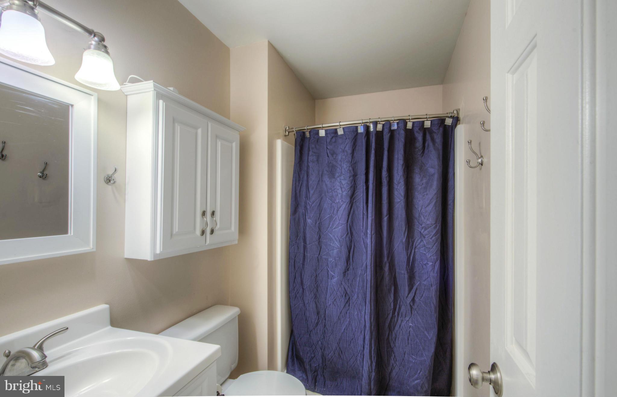 55 Buck Road Stafford, VA 22556 - Photo 10 of 19 a bathroom with a sink a toilet a mirror and shower curtain