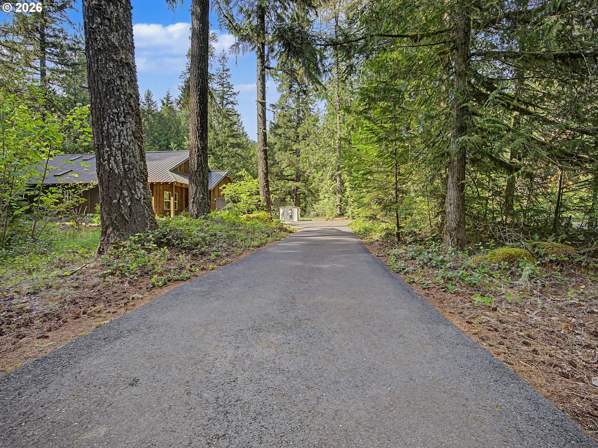 23491 East Lolo Pass Road Rhododendron, OR 97049 - Photo 35 of 47 a view of a backyard of the house