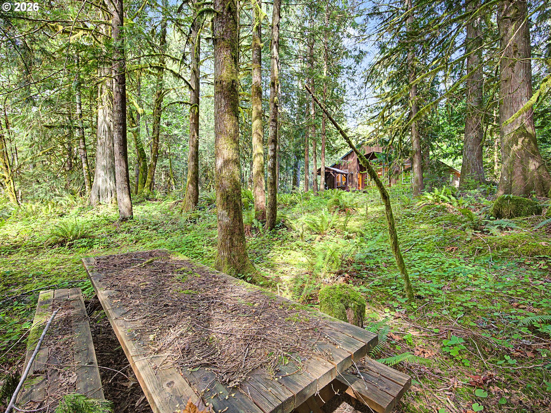 23491 East Lolo Pass Road Rhododendron, OR 97049 - Photo 46 of 47 a view of backyard with green space