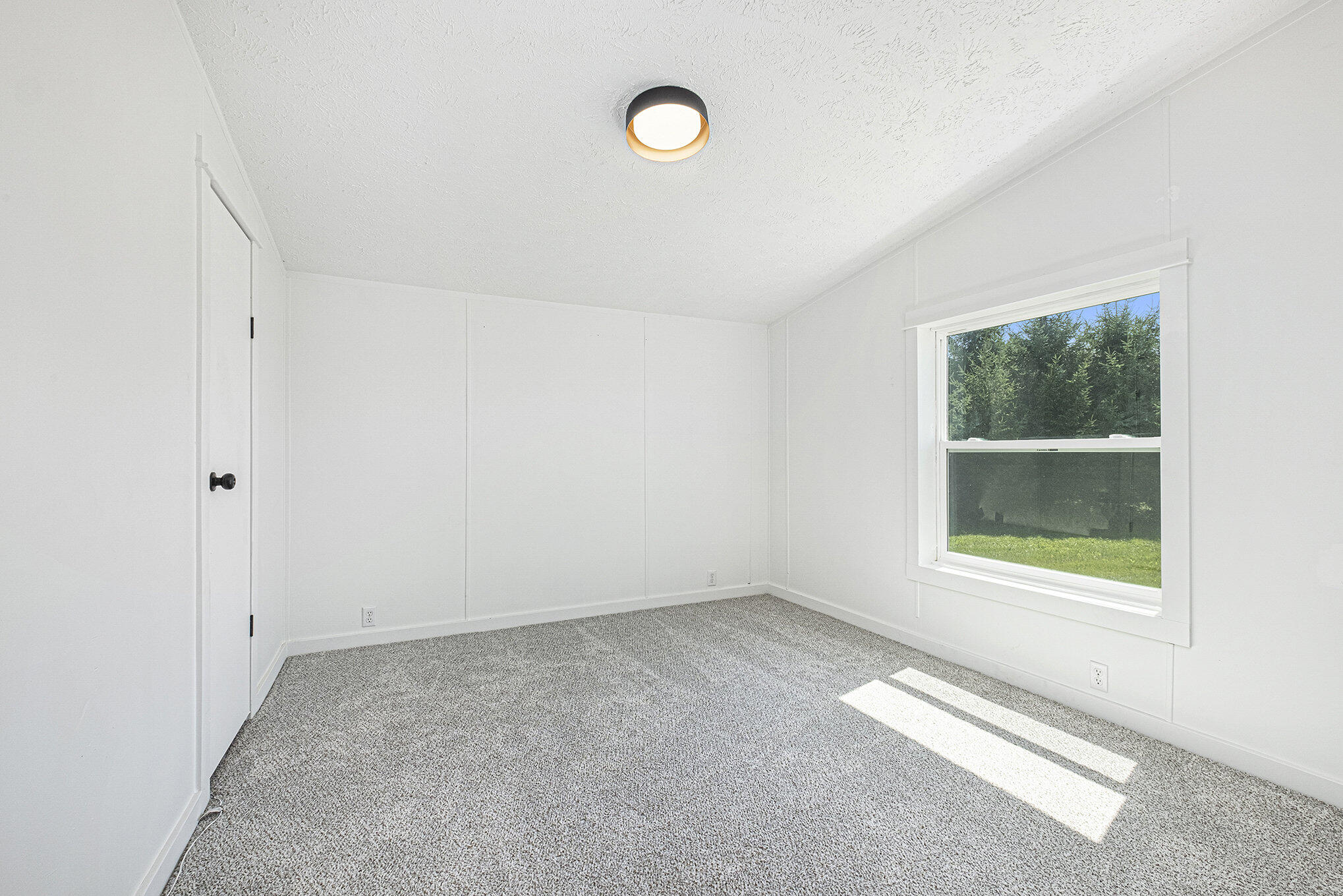 778 McKinch Drive Saranac, MI 48881 - Photo 18 of 28 017_dscf7849_193