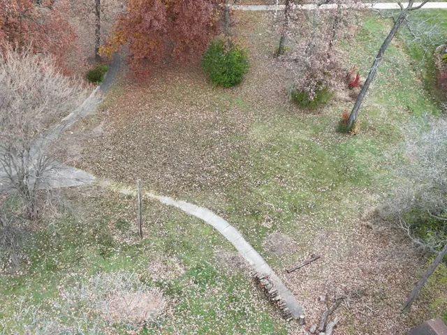 a view of a dry yard with lots of green space