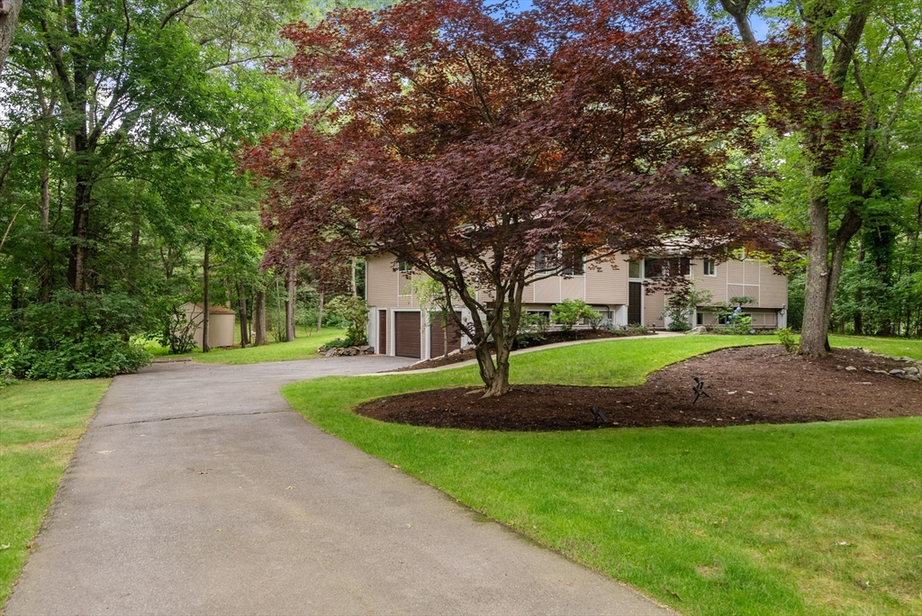 9 Indian Ridge Road Natick, MA 01760 - Photo 29 of 29 Gallery Image 29
