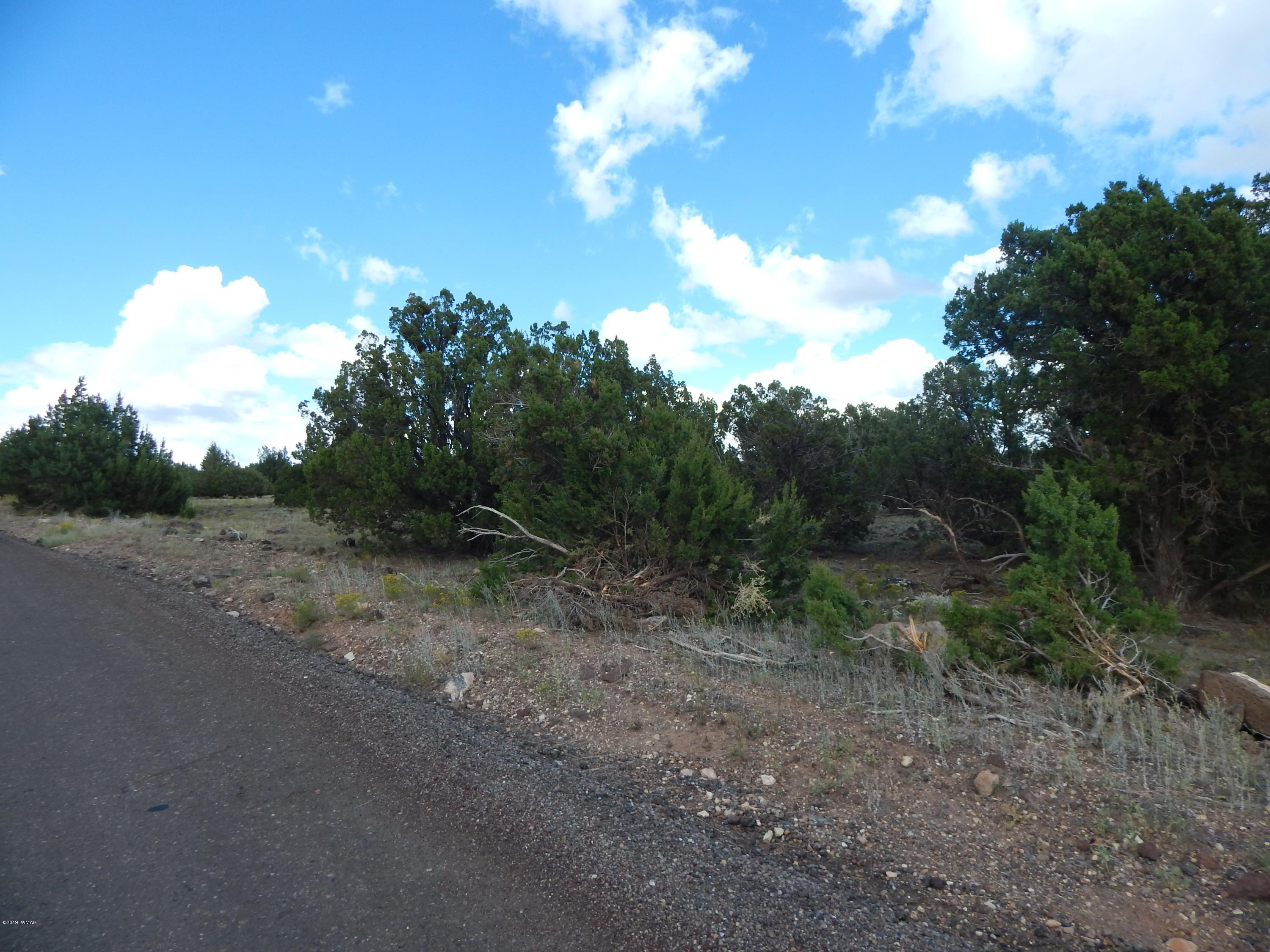 8672 Supancheck Road Show Low, AZ 85901 - Photo 8 of 9 Gallery Image 8