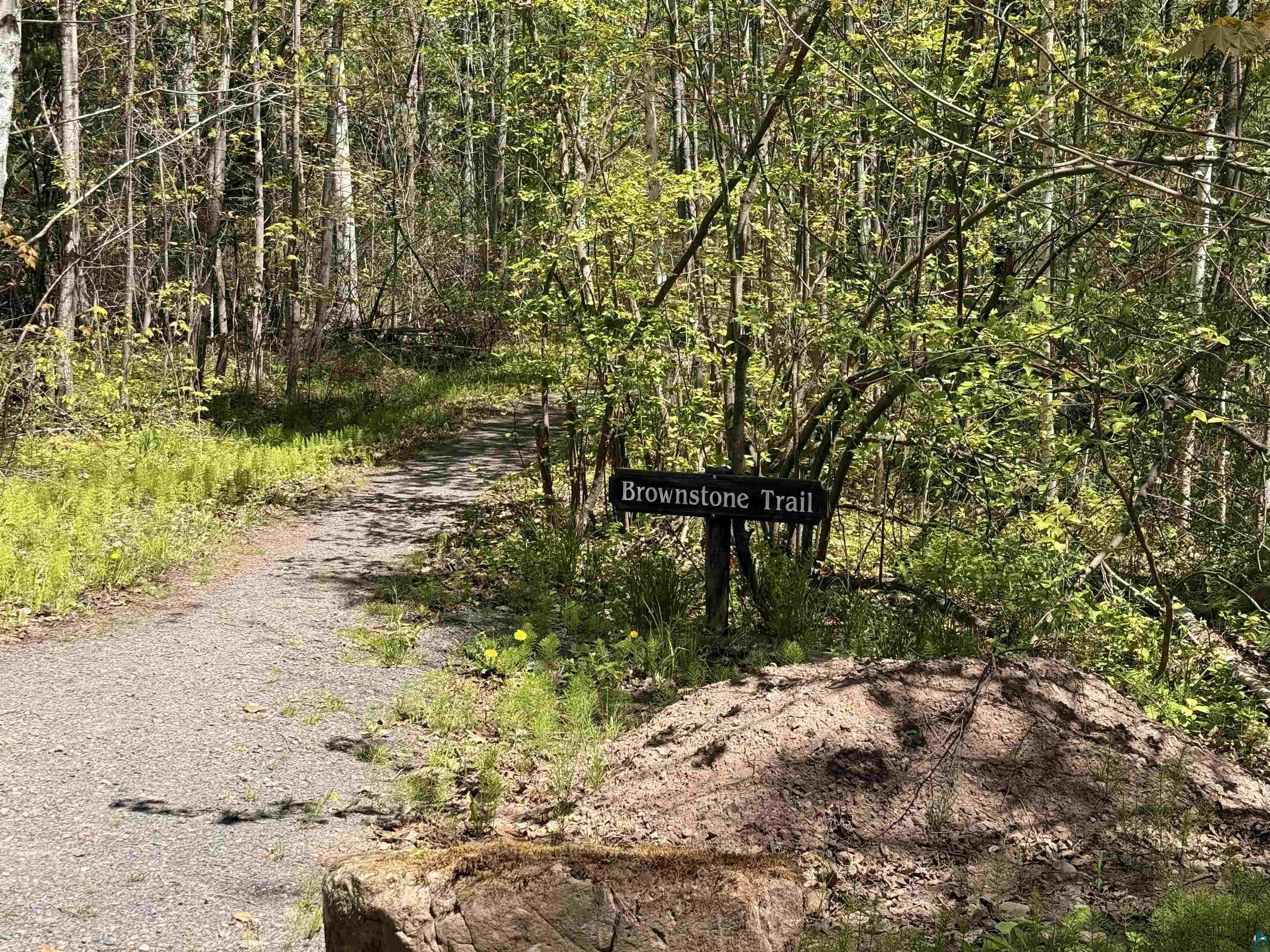 Lot 5 Blue Wing Bay Road Bayfield, WI 54814 - Photo 5 of 11
