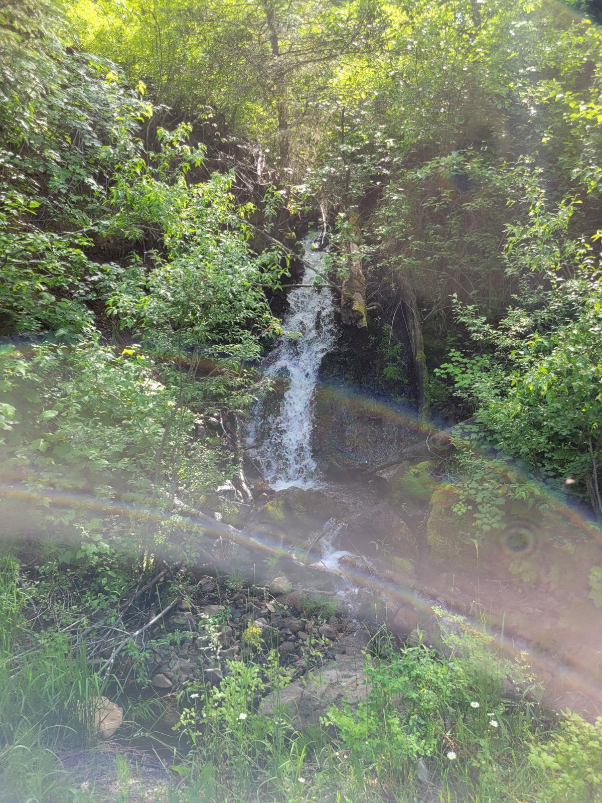 1338 North Touchet Road Dayton, WA 99328 - Photo 3 of 27