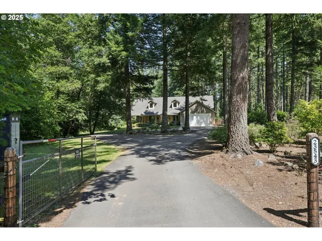 a view of a park with large trees