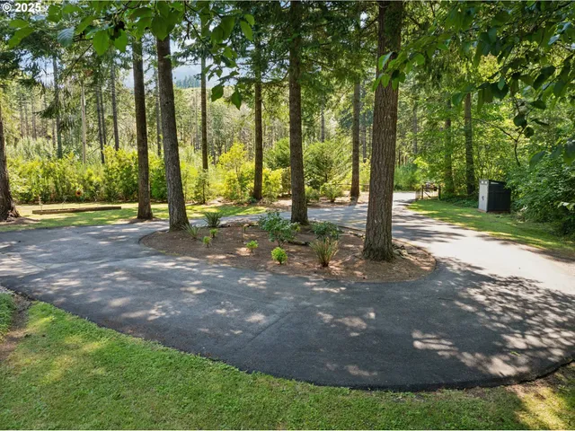 a view of a park with large trees