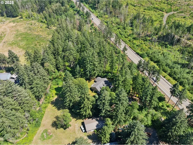 a view of a forest with a mountain
