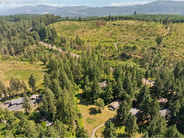 a view of a city with lush green forest