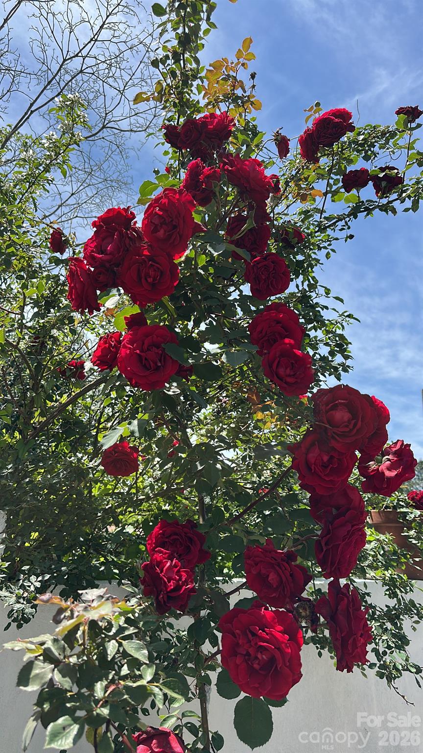 44134 Vickers Store Road Albemarle, NC 28001 - Photo 45 of 48