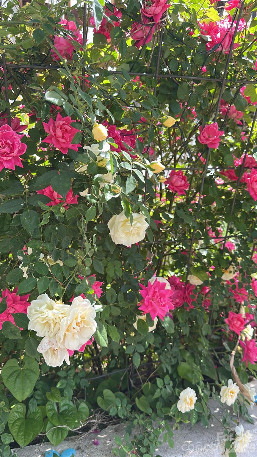 44134 Vickers Store Road Albemarle, NC 28001 - Photo 46 of 48