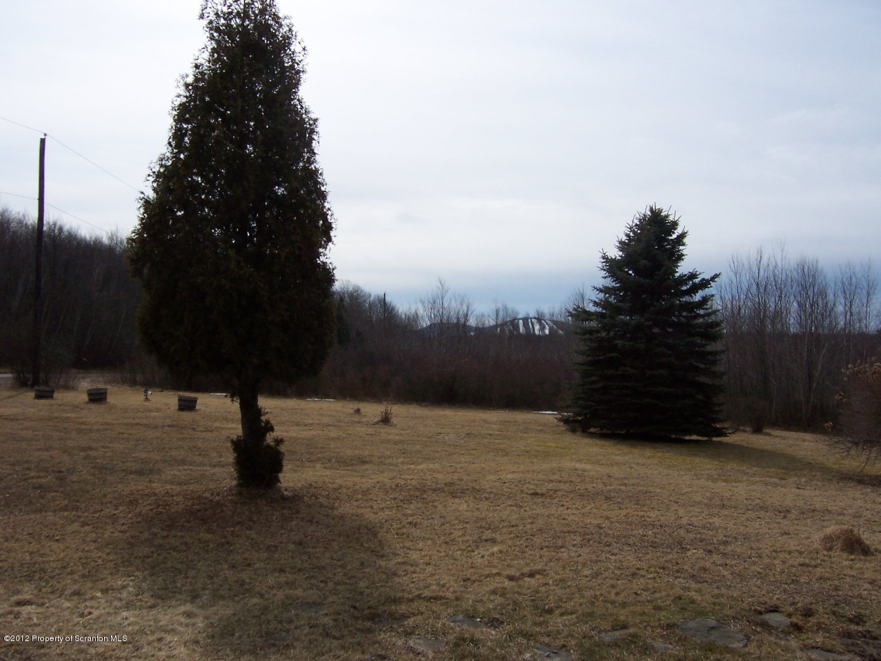 195 Cross Road Pleasant Mount, PA 18453 - Photo 10 of 12 Gallery Image 10