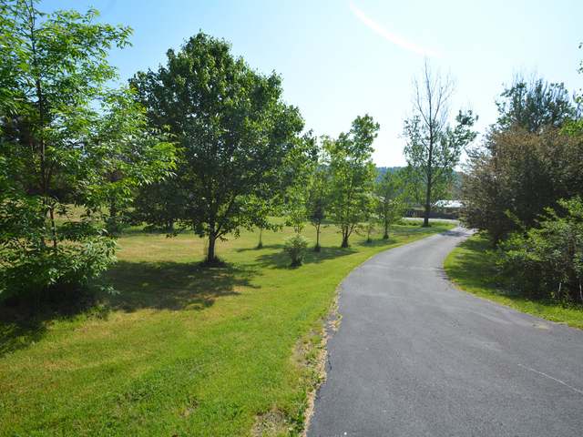 6877 Matthews Run Road Sugar Grove, PA 16350 - Photo 33 of 35 Gallery Image 33