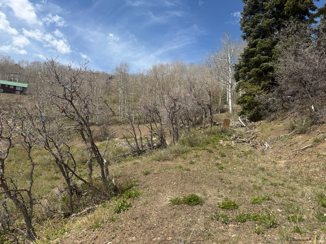 2211 Pine Loop Road, Unit 64 Coalville, UT 84017 - Photo 7 of 20 View of local wilderness