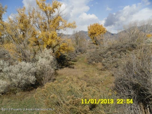 30075 Highway 6 Rifle, CO 81650 - Photo 6 of 14 a close up of a tree