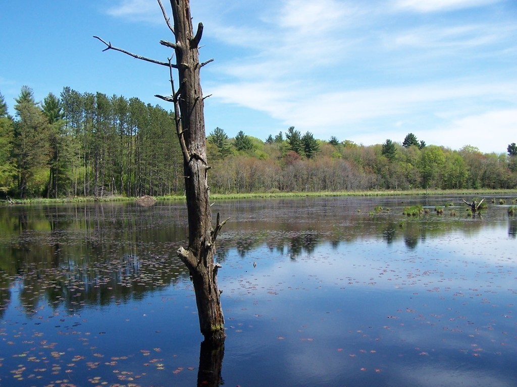 995 Willis Road Phillipston, MA 01331 - Photo 24 of 30
