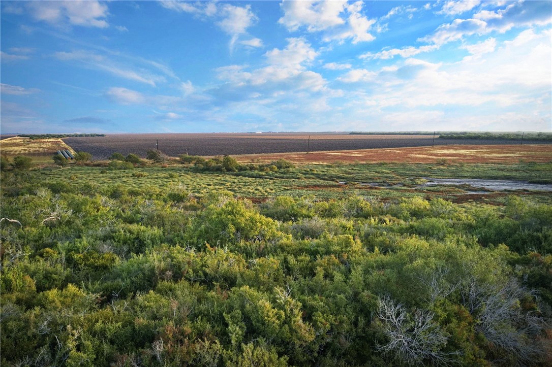 267 Vega Road Woodsboro, TX 78393 - Photo 5 of 5