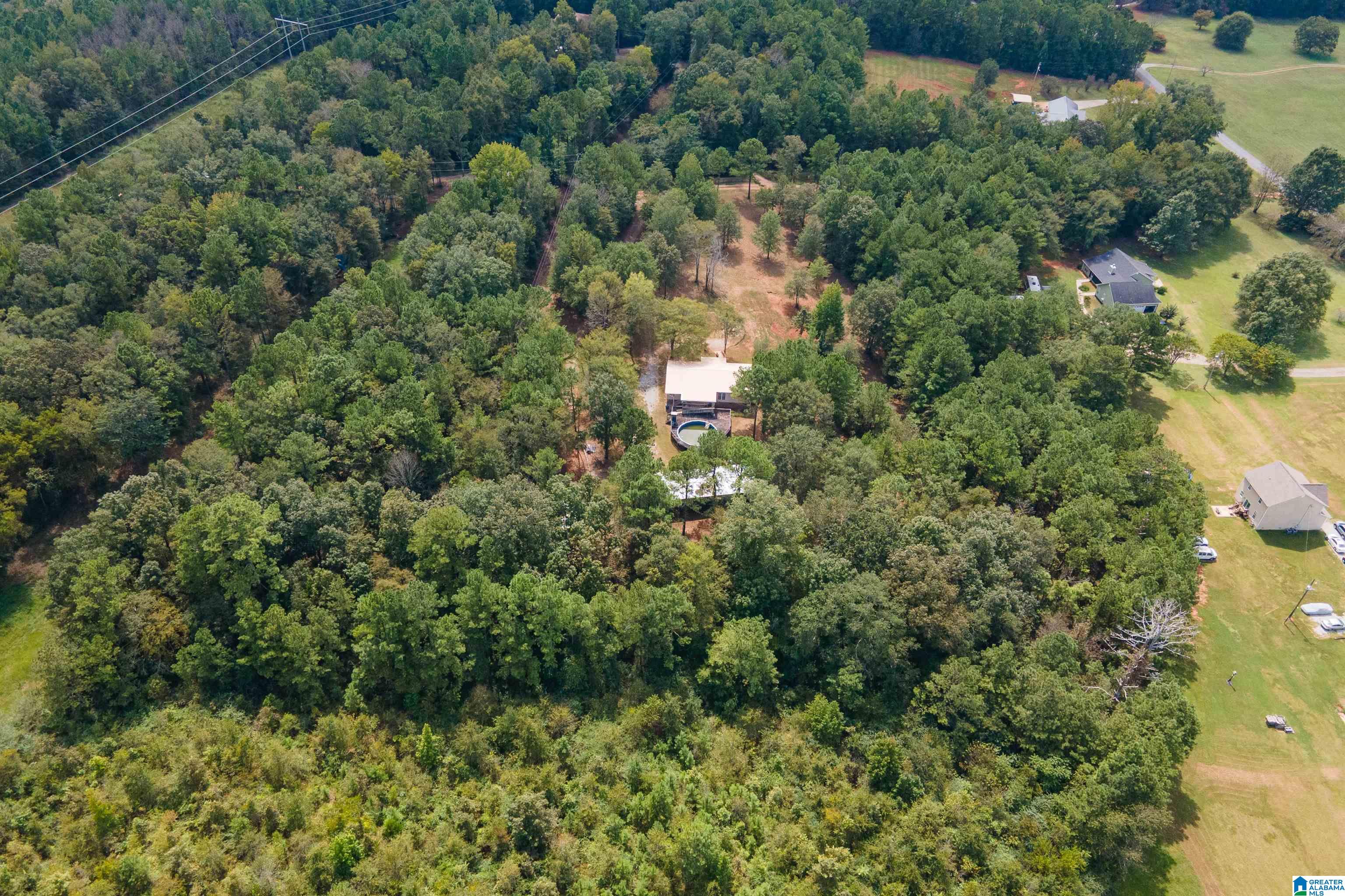 121 Wills Lane Talladega, AL 35160 - Photo 27 of 30
