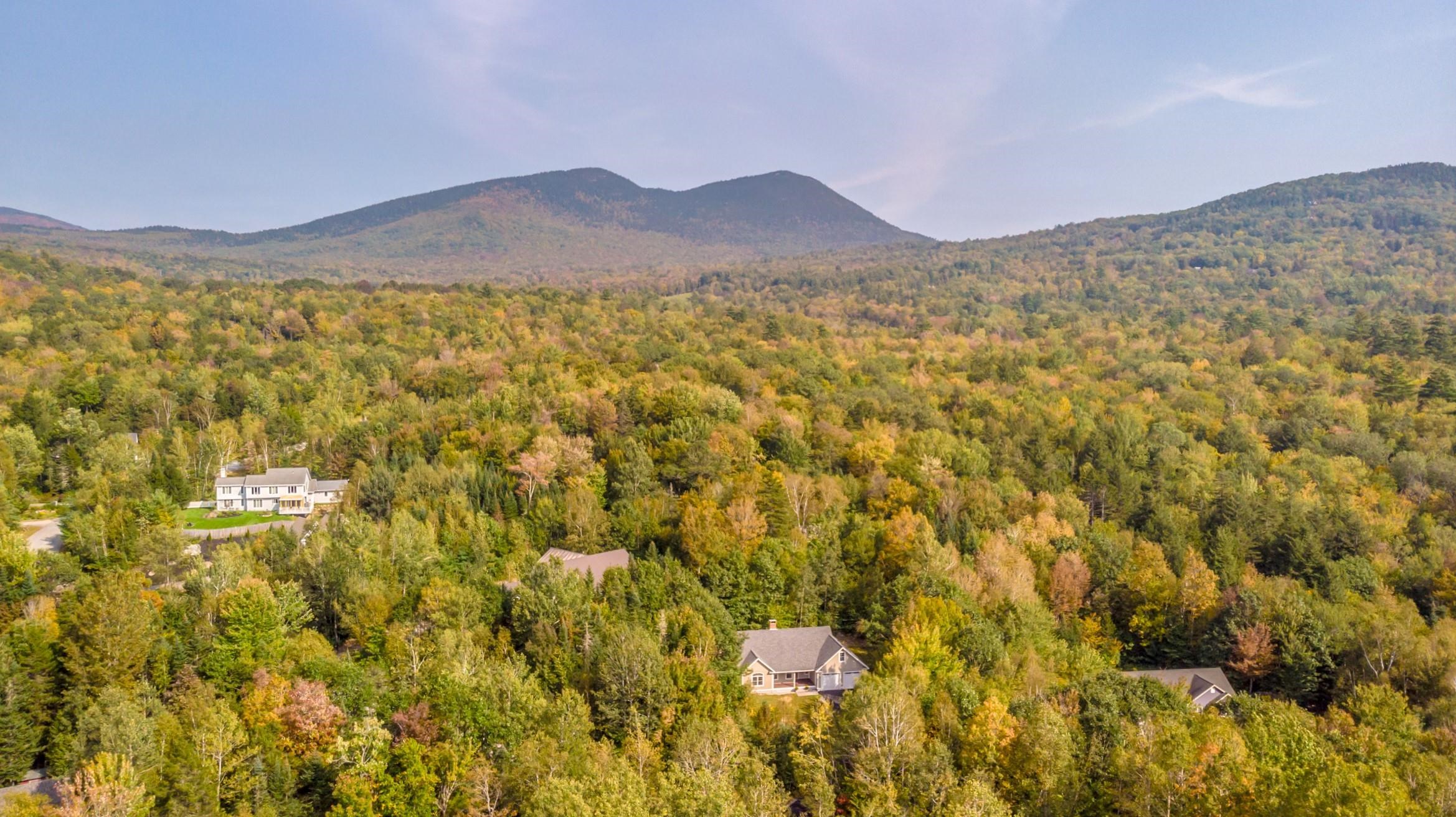 65 Cameron Drive Jackson, NH 03846 - Photo 30 of 39