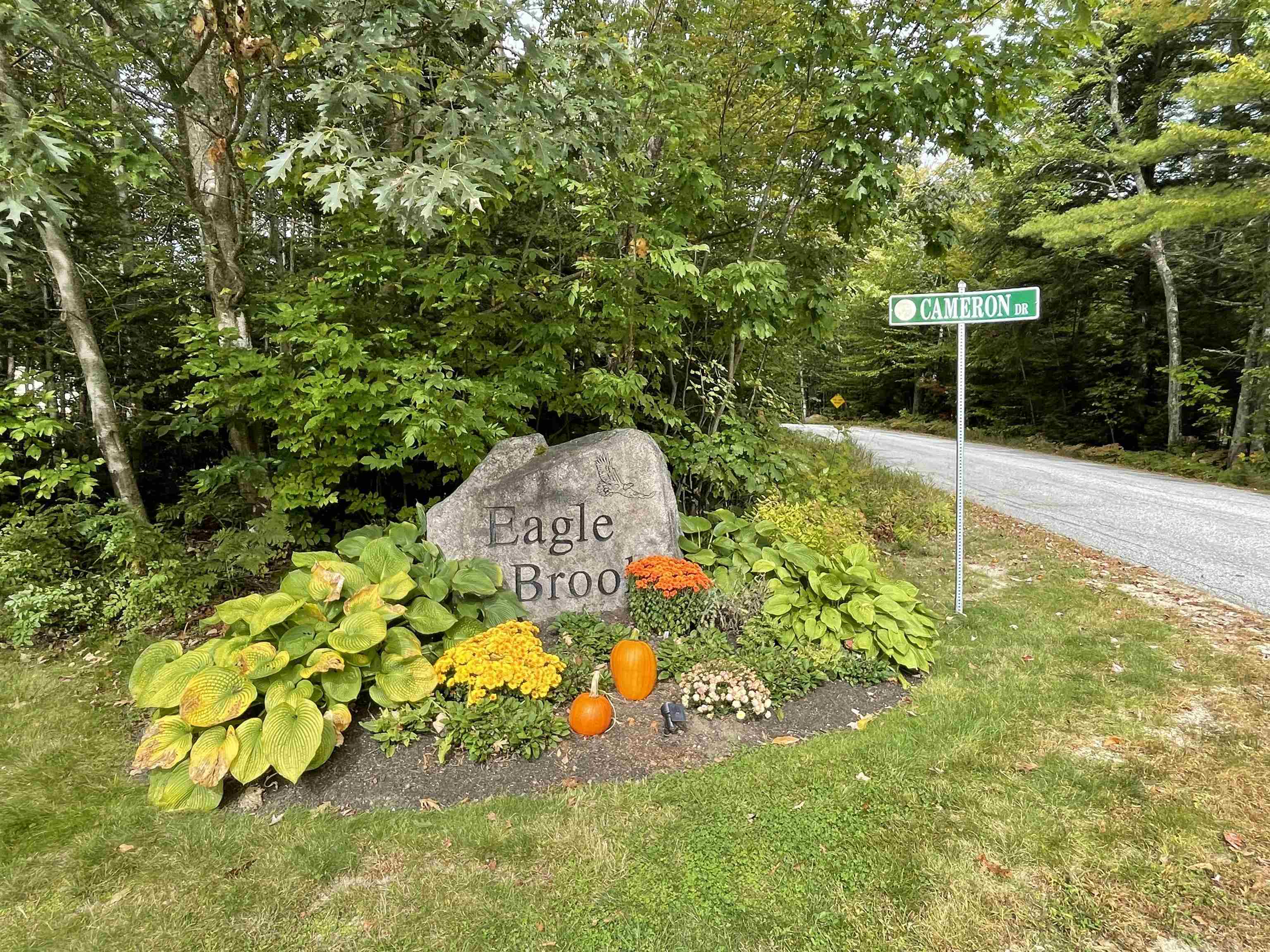 65 Cameron Drive Jackson, NH 03846 - Photo 31 of 39