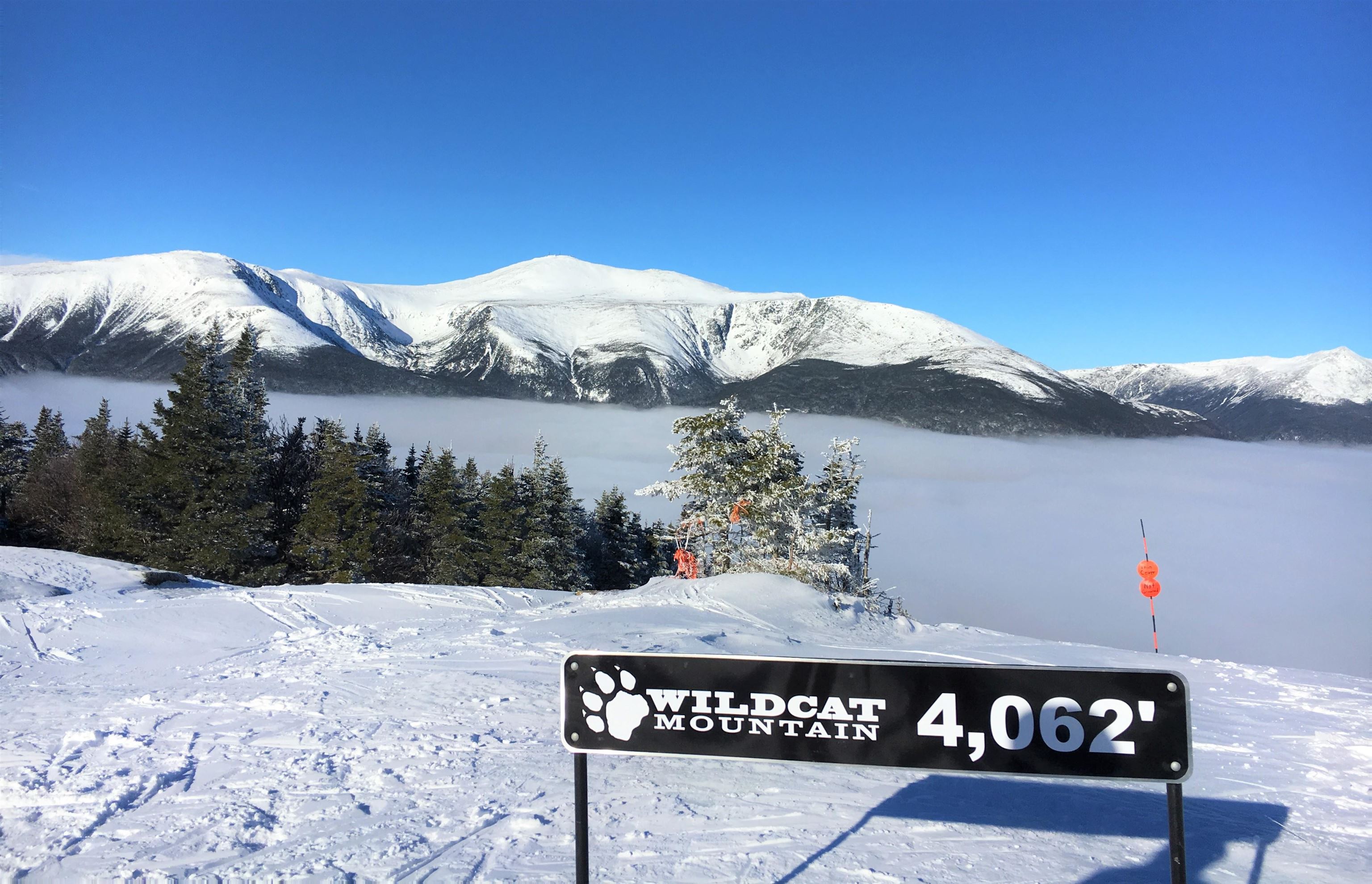 65 Cameron Drive Jackson, NH 03846 - Photo 33 of 39