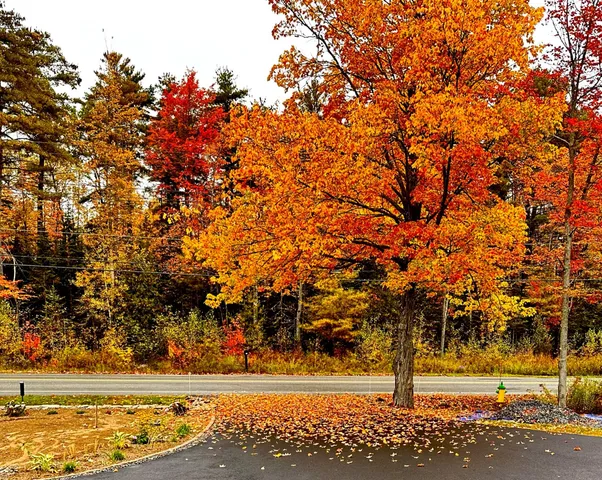 $619,000 | 245 Eastern Avenue, Brewer, ME 04412