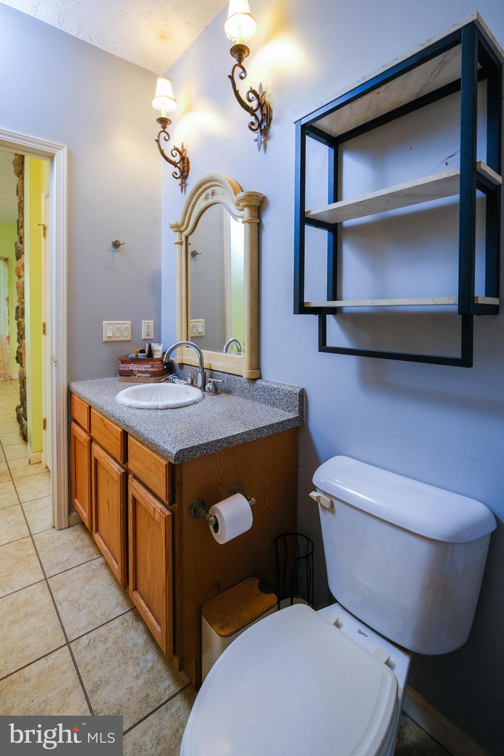 1195 Shangri-La Road Bentonville, VA 22610 - Photo 53 of 64 a bathroom with a toilet sink and mirror