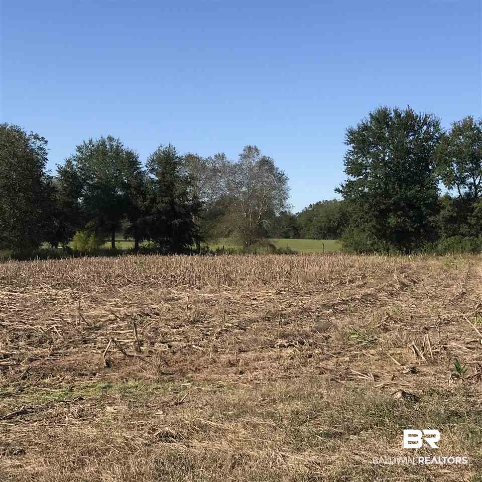 Langforoad Road Fairhope, AL 36532 - Photo 4 of 9