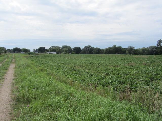 Xxx Forada Beach Road Southeast Alexandria, MN 56308 - Photo 1 of 1 Gallery Image 1