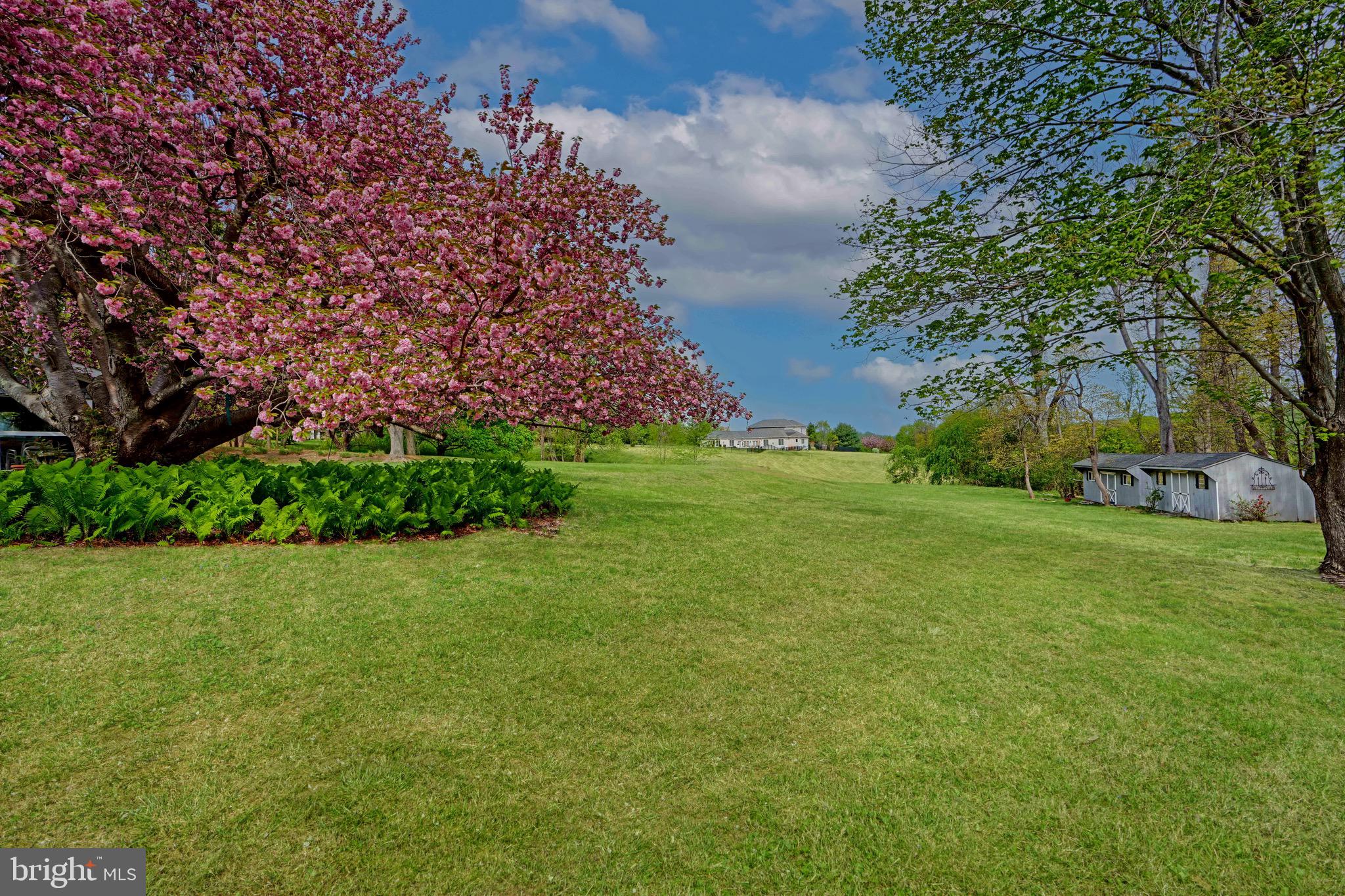 15009 La Vale Road Monkton, MD 21111 - Photo 3 of 45 Perfect yard awaiting your in-ground pool plans