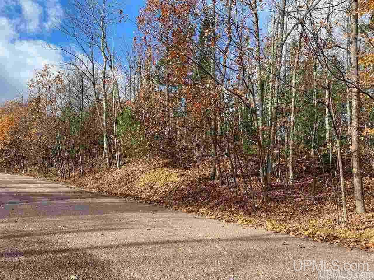 Tbd Lake Enchantment Road, Unit PARCEL 1 Marquette, MI 49855 - Photo 17 of 18