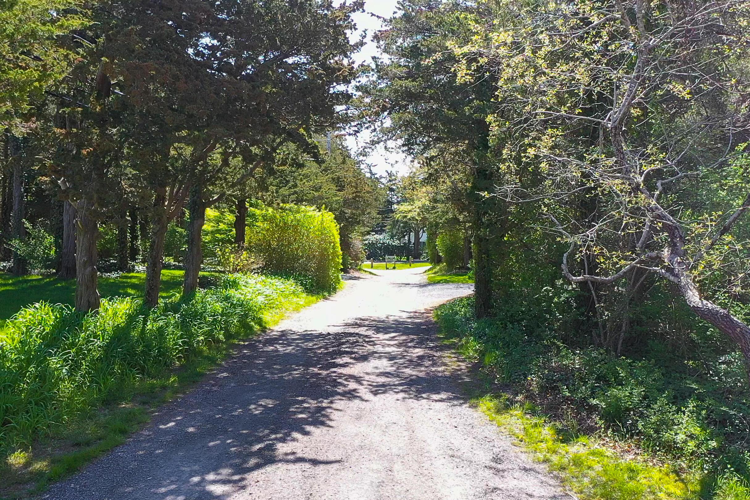 17 Sparrowhawk Road Orleans, MA 02653 - Photo 10 of 10 a view of a park