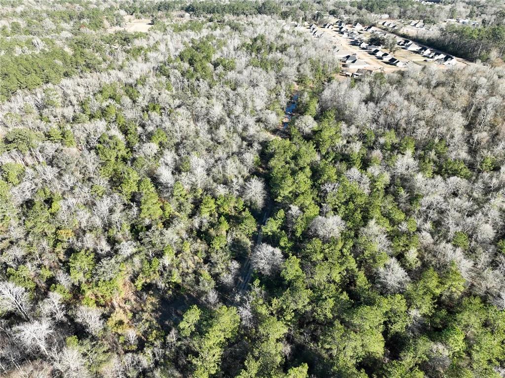 93.73-acres Brown Road Ponchatoula, LA 70454 - Photo 11 of 19