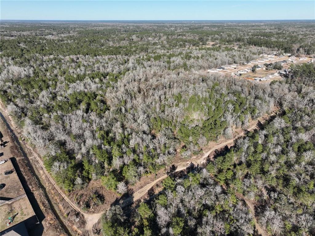93.73-acres Brown Road Ponchatoula, LA 70454 - Photo 12 of 19