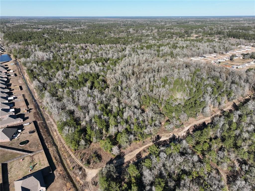 93.73-acres Brown Road Ponchatoula, LA 70454 - Photo 13 of 19