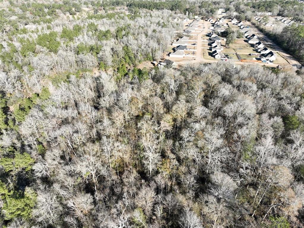 93.73-acres Brown Road Ponchatoula, LA 70454 - Photo 15 of 19