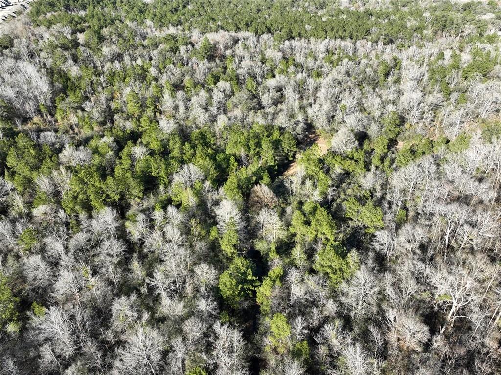 93.73-acres Brown Road Ponchatoula, LA 70454 - Photo 16 of 19