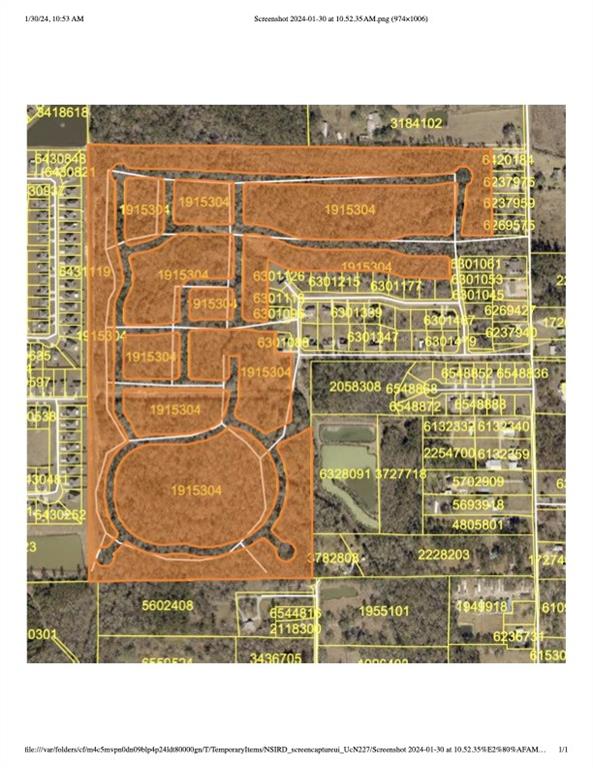 93.73-acres Brown Road Ponchatoula, LA 70454 - Photo 2 of 19