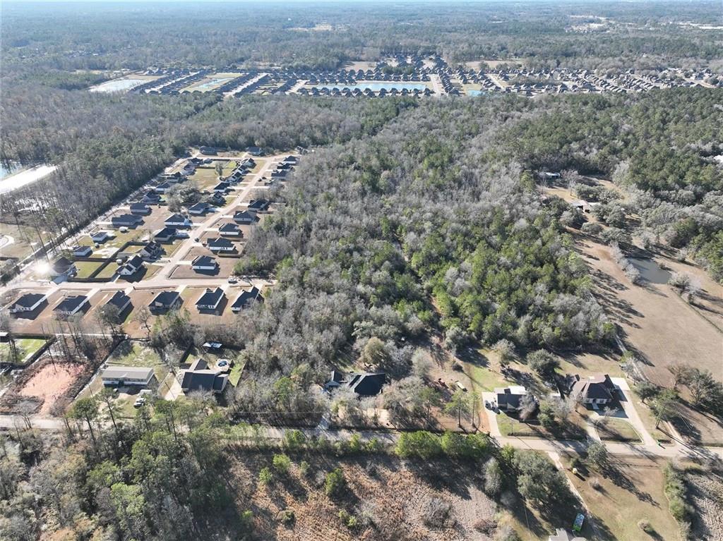 93.73-acres Brown Road Ponchatoula, LA 70454 - Photo 3 of 19
