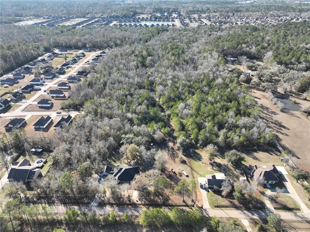 93.73-acres Brown Road Ponchatoula, LA 70454 - Photo 4 of 19